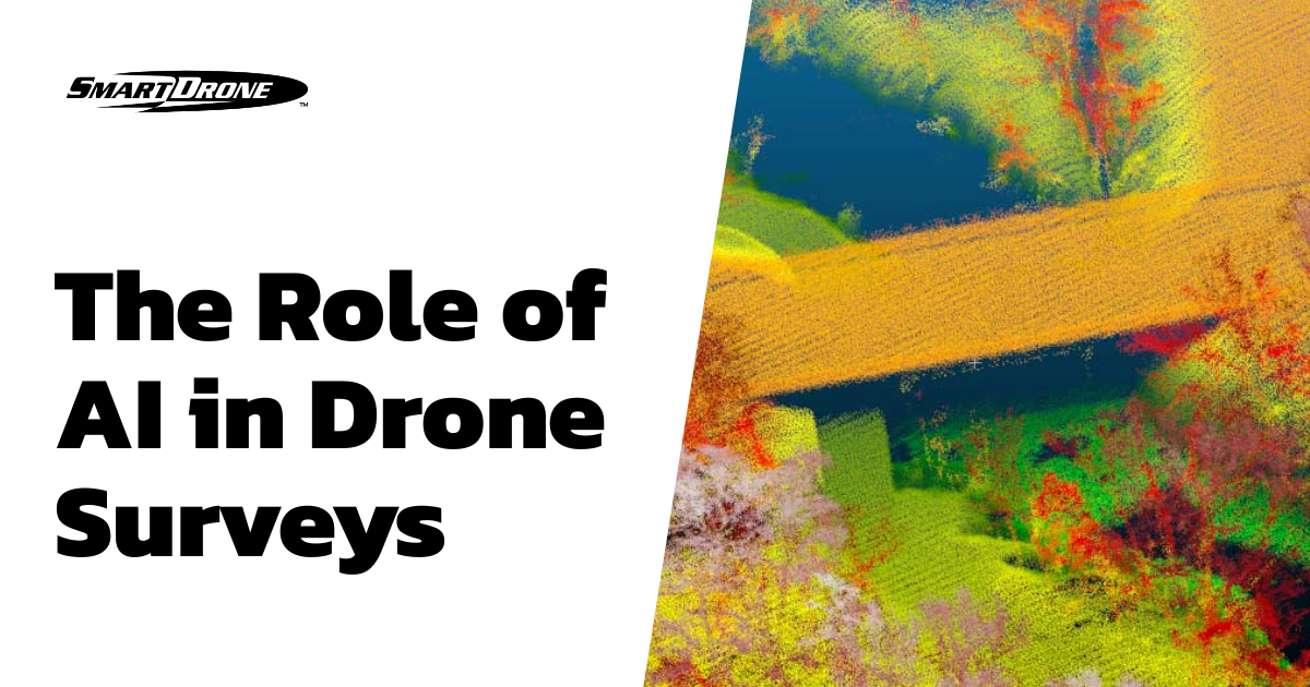 The Role of AI in Drone Surveys